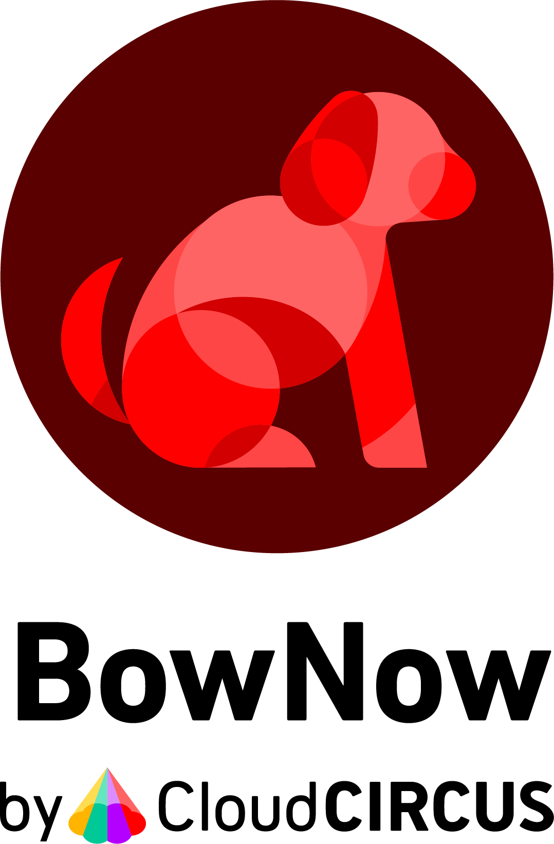 BowNow by Cloud CIRCUS