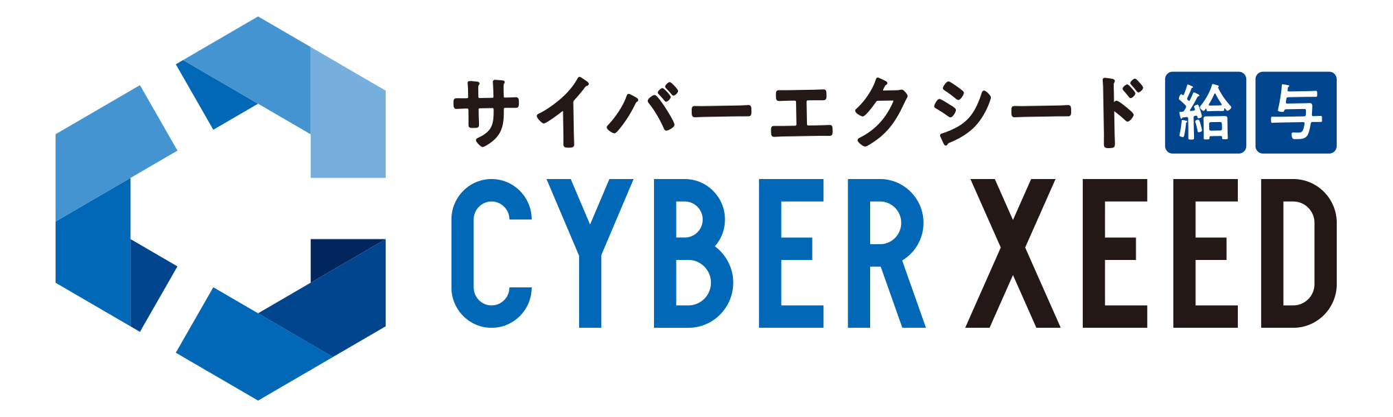 CYBER XEED 給与