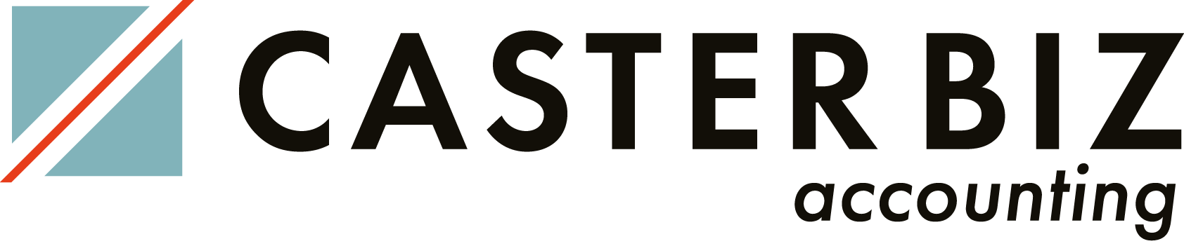 CASTER BIZ accounting