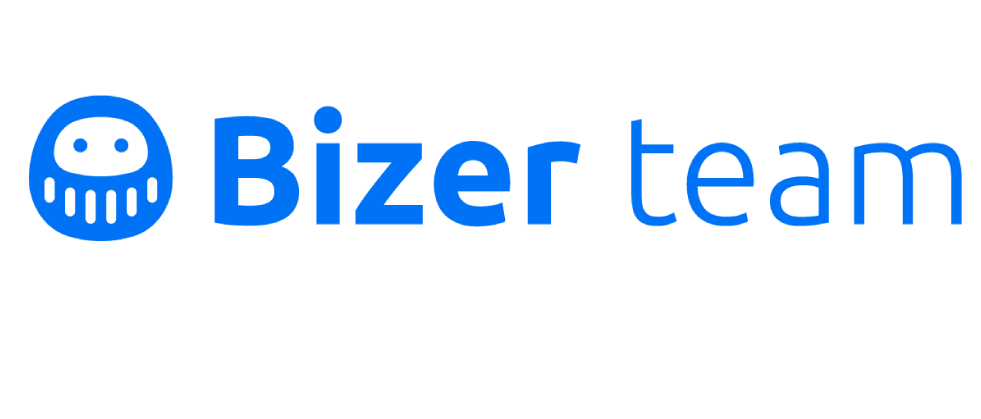 Bizer team