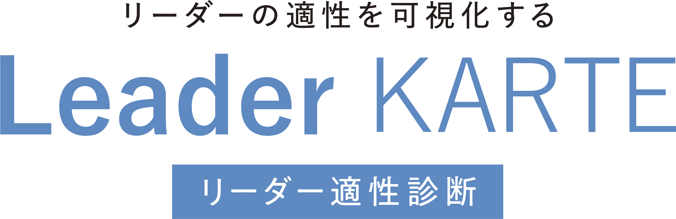 Leader KARTE