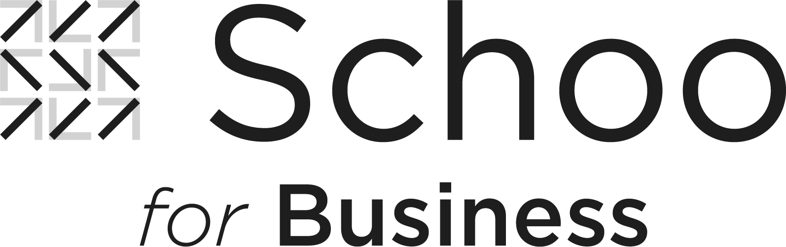 Schoo for Business