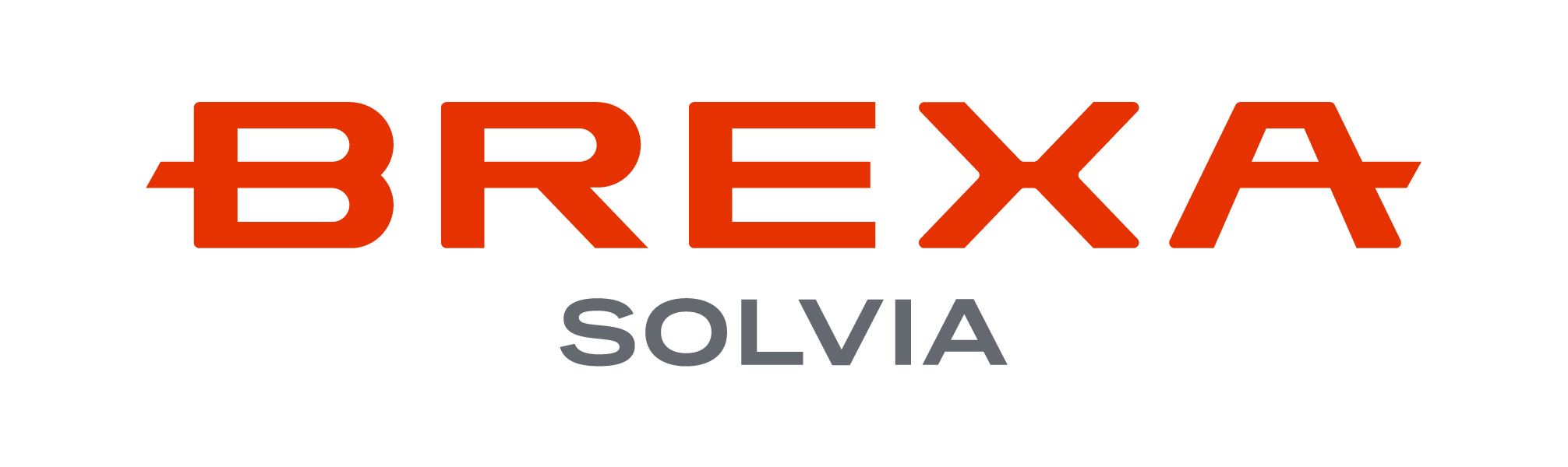 BREXA SOLVIAのFDE（Foward Deployed Engineer）サービス