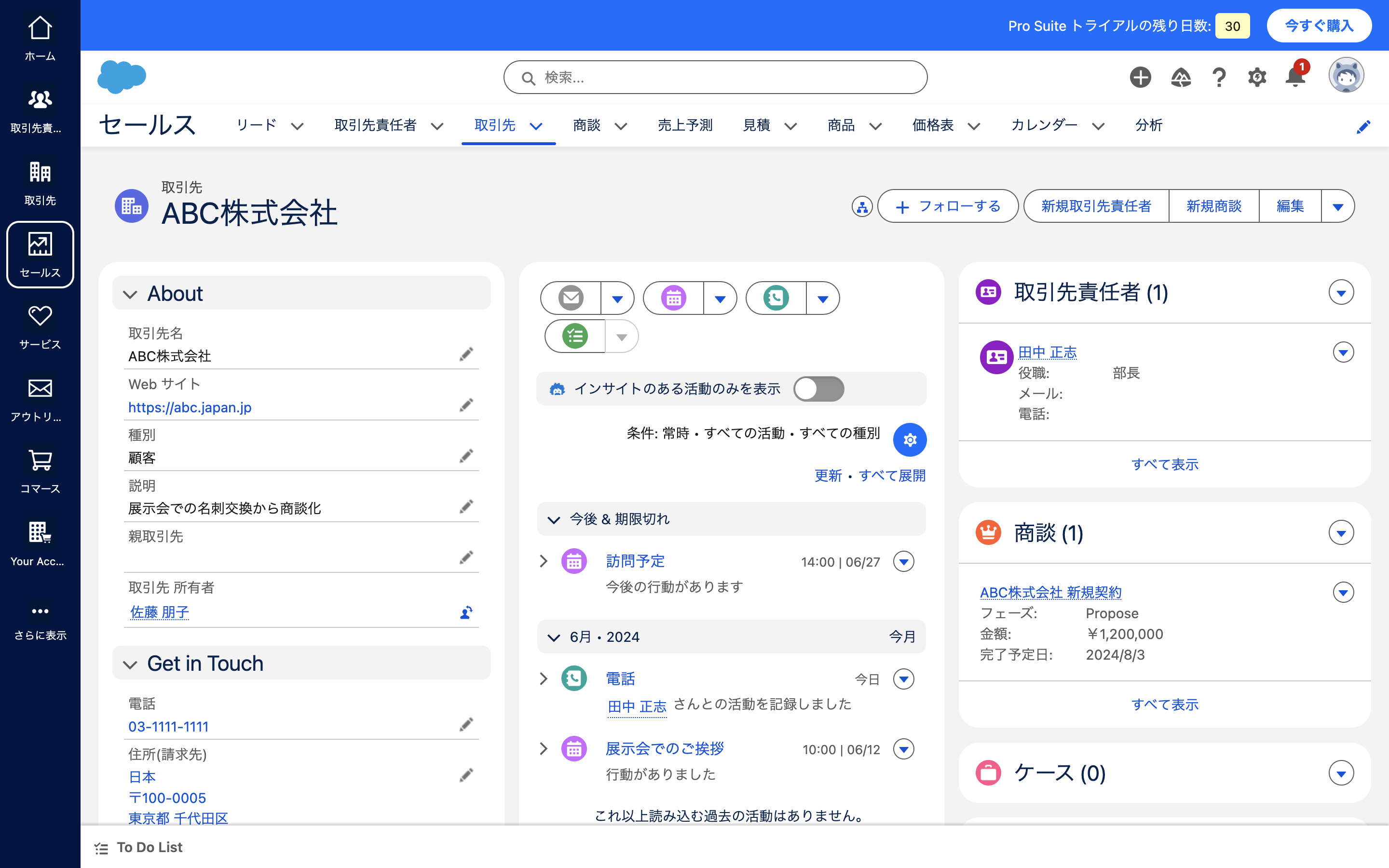 Salesforce Pro SuiteのUI画面