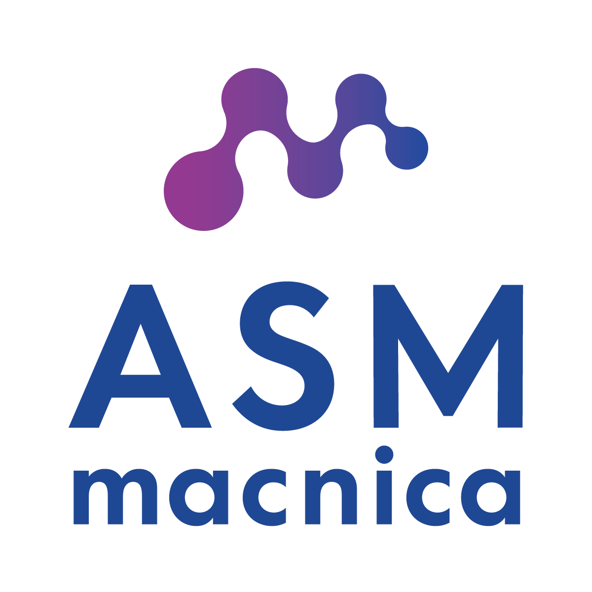 Macnica ASM
